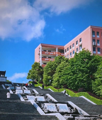 学科