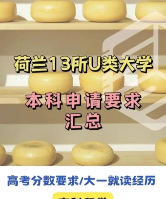 雅思