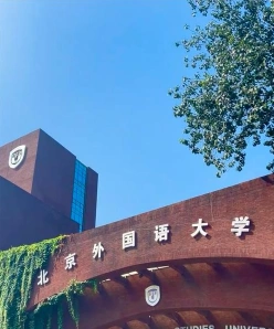 大学