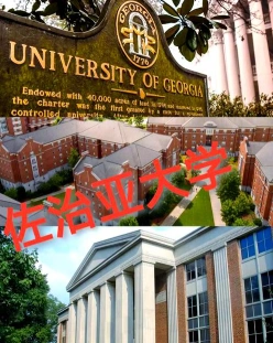 佐治亚大学