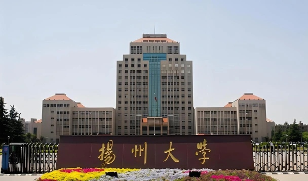 高水平大学