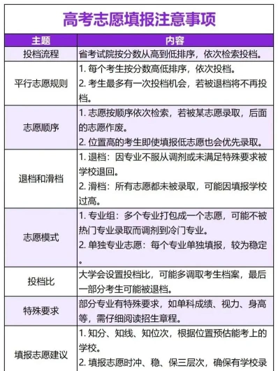 专业
