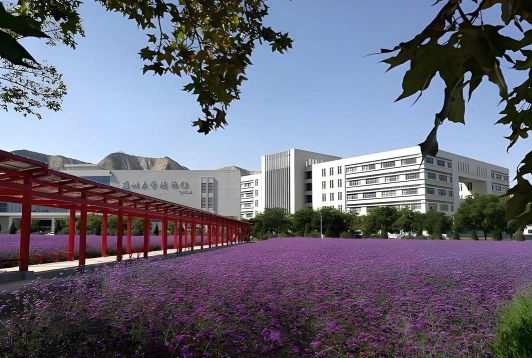 学院