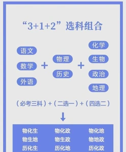 选科