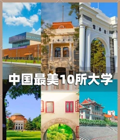 领域