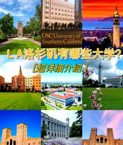 数学专业