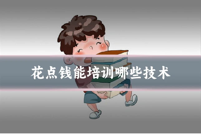 花点钱能培训哪些技术