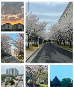 校区