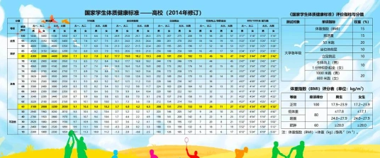 体测