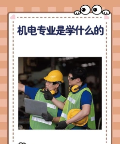 实训