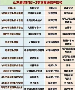 山东职业学院