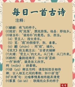 触觉