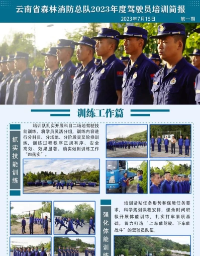 应急处理