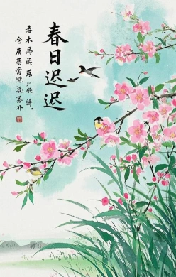 小雅