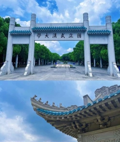 计划