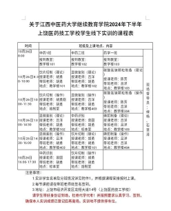 实训