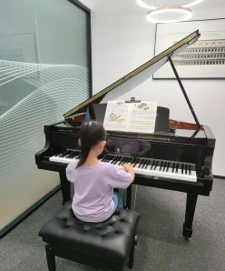 能力