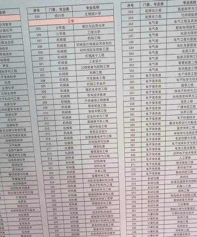 专业