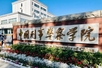 中国