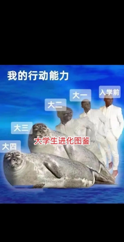 机遇和挑战