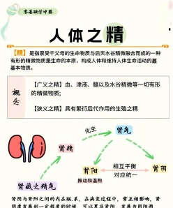 中医药大学