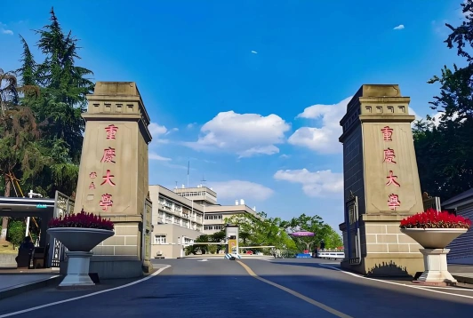 重庆市南岸区