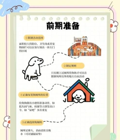 费用