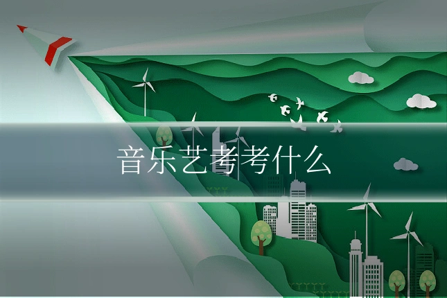音乐艺考考什么