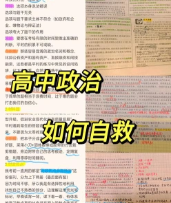 高中政治