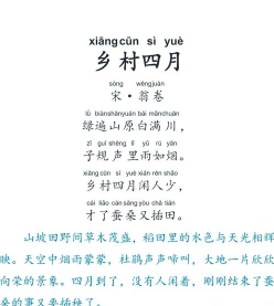 拂堤杨柳