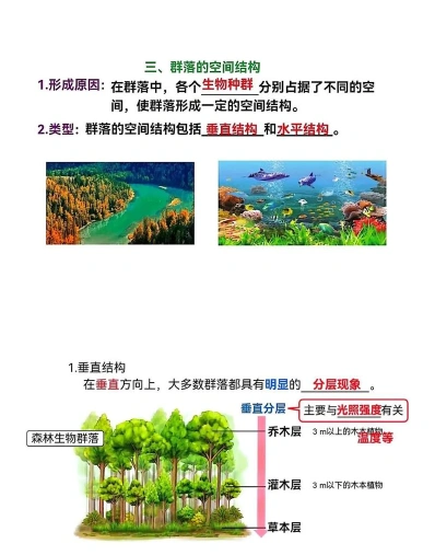 群落