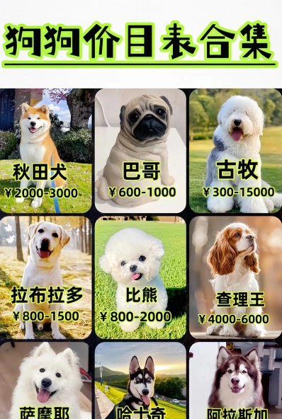 上厕所
