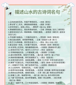 树林