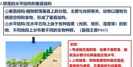 垂直结构
