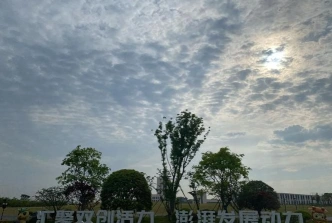领域