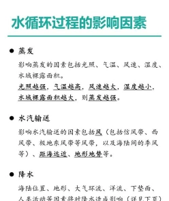 人类活动