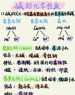 生物碱