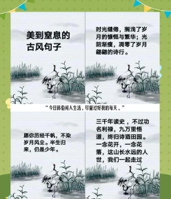 国色芳华