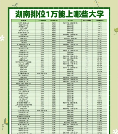 报考
