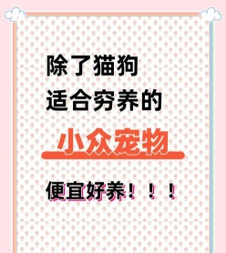 饲养