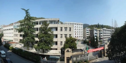 专业