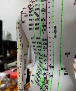 提供