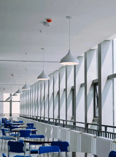 学院