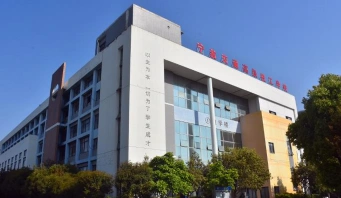 专业