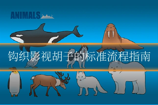 钩织影视胡子的标准流程指南