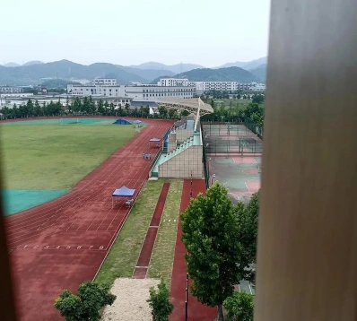 能力