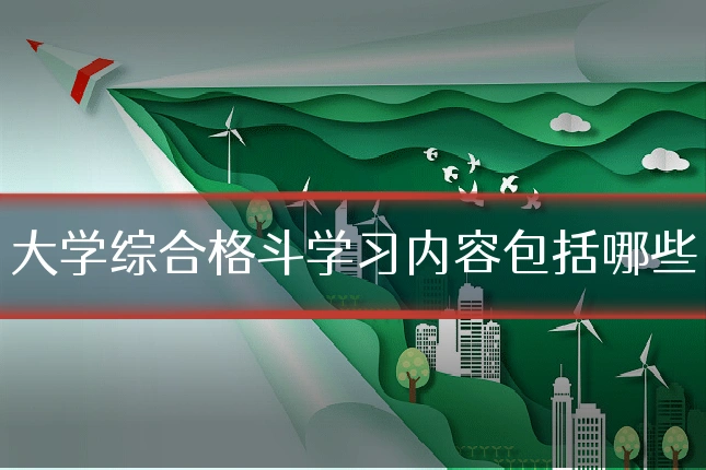 大学综合格斗学习内容包括哪些