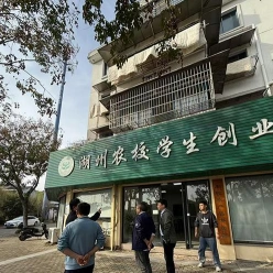 专业