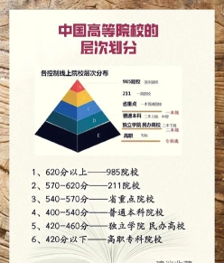 大学教育