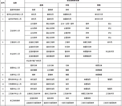 等级资料